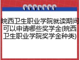皖西卫生职业学院就读期间可以申请哪些奖学金(皖西卫生职业学院奖学金种类)