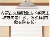 内蒙古交通职业技术学院主攻方向是什么，怎么样(内蒙交院专长)
