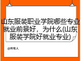 山东服装职业学院哪些专业就业前景好，为什么(山东服装学院好就业专业)