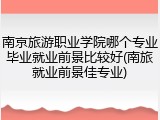 南京旅游职业学院哪个专业毕业就业前景比较好(南旅就业前景佳专业)