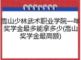 嵩山少林武术职业学院一年奖学金最多能拿多少(嵩山奖学金最高额)