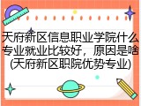 天府新区信息职业学院什么专业就业比较好，原因是啥(天府新区职院优势专业)