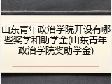 山东青年政治学院开设有哪些奖学和助学金(山东青年政治学院奖助学金)