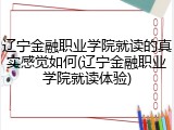 辽宁金融职业学院就读的真实感觉如何(辽宁金融职业学院就读体验)