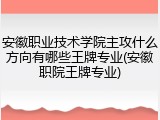 安徽职业技术学院主攻什么方向有哪些王牌专业(安徽职院王牌专业)