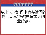 东北大学如何申请在读间的创业无息贷款(申请东大创业贷款)