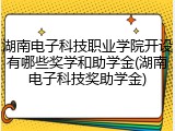 湖南电子科技职业学院开设有哪些奖学和助学金(湖南电子科技奖助学金)