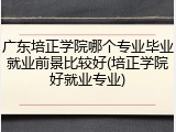 广东培正学院哪个专业毕业就业前景比较好(培正学院好就业专业)