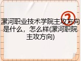 漯河职业技术学院主攻方向是什么,怎么样(漯河职院主攻方向)