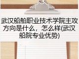武汉船舶职业技术学院主攻方向是什么，怎么样(武汉船院专业优势)