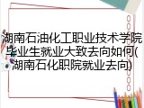 湖南石油化工职业技术学院毕业生就业大致去向如何(湖南石化职院就业去向)