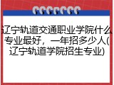 辽宁轨道交通职业学院什么专业最好，一年招多少人(辽宁轨道学院招生专业)