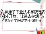 安徽扬子职业技术学院是否对外开放，让进去参观吗？(扬子学院对外开放吗)