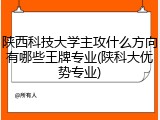 陕西科技大学主攻什么方向有哪些王牌专业(陕科大优势专业)