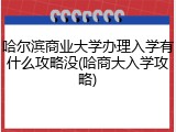 哈尔滨商业大学办理入学有什么攻略没(哈商大入学攻略)