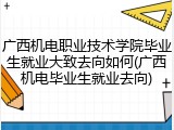 广西机电职业技术学院毕业生就业大致去向如何(广西机电毕业生就业去向)