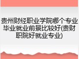 贵州财经职业学院哪个专业毕业就业前景比较好(贵财职院好就业专业)