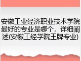 安徽工业经济职业技术学院最好的专业是哪个，详细阐述(安徽工经学院王牌专业)