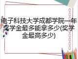 电子科技大学成都学院一年奖学金最多能拿多少(奖学金最高多少)