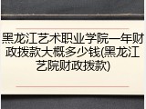 黑龙江艺术职业学院一年财政拨款大概多少钱(黑龙江艺院财政拨款)