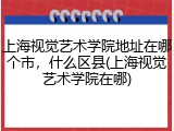 上海视觉艺术学院地址在哪个市，什么区县(上海视觉艺术学院在哪)