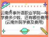 云南外事外语职业学院一年学费多少钱，还有哪些费用(云南外院学费及费用)