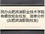 民办合肥滨湖职业技术学院有哪些知名校友，简单分析(合肥滨湖职院校友)