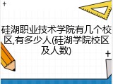 硅湖职业技术学院有几个校区,有多少人(硅湖学院校区及人数)