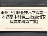惠州卫生职业技术学院是一本还是本科第二批(惠州卫院属本科第二批)