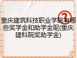 重庆建筑科技职业学院有哪些奖学金和助学金呢(重庆建科院奖助学金)