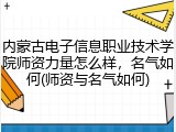 内蒙古电子信息职业技术学院师资力量怎么样，名气如何(师资与名气如何)
