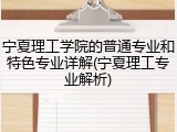宁夏理工学院的普通专业和特色专业详解(宁夏理工专业解析)