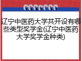 辽宁中医药大学共开设有哪些类型奖学金(辽宁中医药大学奖学金种类)