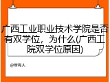 广西工业职业技术学院是否有双学位，为什么(广西工院双学位原因)
