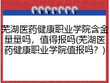 芜湖医药健康职业学院含金量量吗，值得报吗(芜湖医药健康职业学院值报吗？)