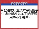 合肥通用职业技术学院的学生毕业都怎么样了(合肥通用毕业生去向)