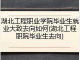 湖北工程职业学院毕业生就业大致去向如何(湖北工程职院毕业生去向)