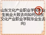 山东文化产业职业学院毕业生就业大致去向如何(山东文化产业职业学院毕业生去向)