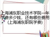 上海浦东职业技术学院一年学费多少钱，还有哪些费用(上海浦东职院学费)
