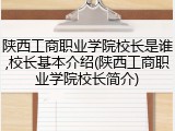 陕西工商职业学院校长是谁,校长基本介绍(陕西工商职业学院校长简介)