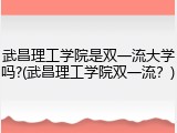 武昌理工学院是双一流大学吗?(武昌理工学院双一流？)