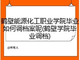 鹤壁能源化工职业学院毕业如何调档案呢(鹤壁学院毕业调档)