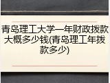 青岛理工大学一年财政拨款大概多少钱(青岛理工年拨款多少)