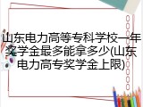 山东电力高等专科学校一年奖学金最多能拿多少(山东电力高专奖学金上限)
