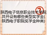 陕西电子信息职业技术学院共开设有哪些类型奖学金(陕西电子职院奖学金种类)