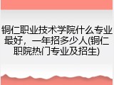 铜仁职业技术学院什么专业最好，一年招多少人(铜仁职院热门专业及招生)