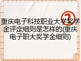 重庆电子科技职业大学奖学金评定细则是怎样的(重庆电子职大奖学金细则)