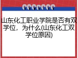 山东化工职业学院是否有双学位，为什么(山东化工双学位原因)