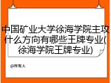 中国矿业大学徐海学院主攻什么方向有哪些王牌专业(徐海学院王牌专业)