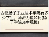 安徽扬子职业技术学院有多少学生，师资力量如何(扬子学院师生规模)